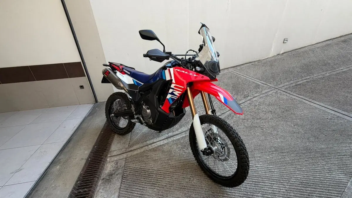 Honda CRF 300 Rally (2025 - 26) (3)