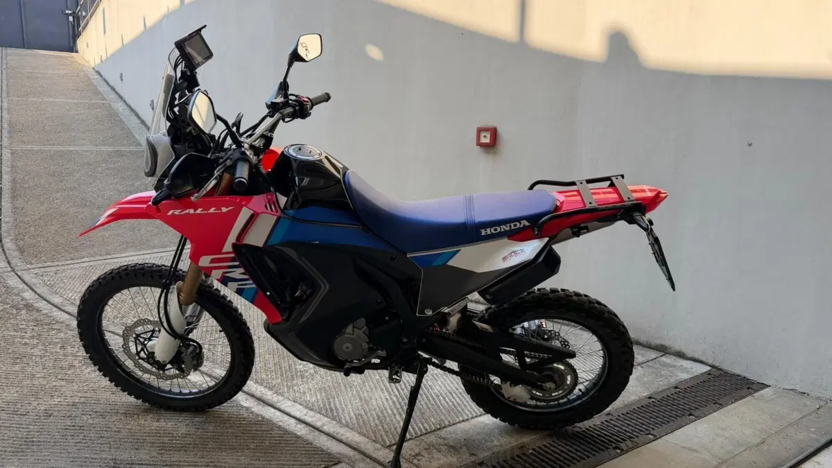 Honda CRF 300 Rally (2025 - 26)