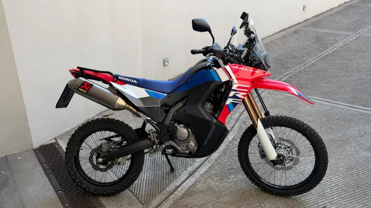 Honda CRF 300 Rally (2025 - 26) (2)