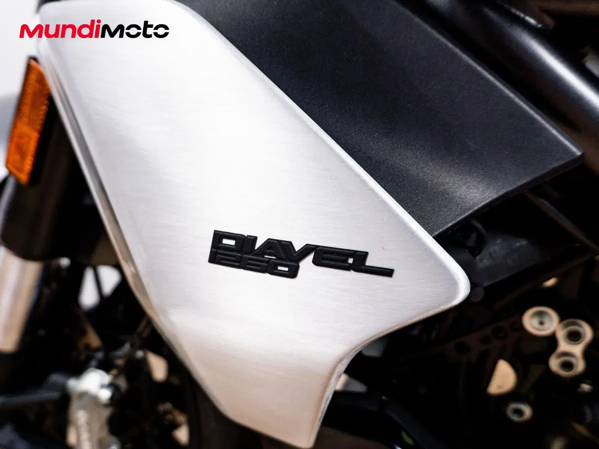 Ducati Diavel 1260 (2019 - 20) (16)