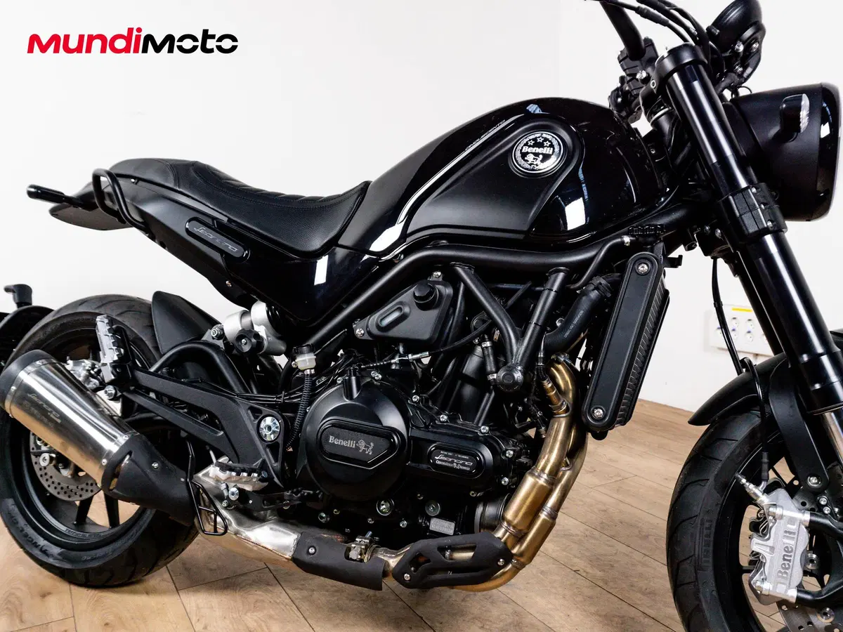 Benelli Leoncino 500 (2021 - 25) (5)