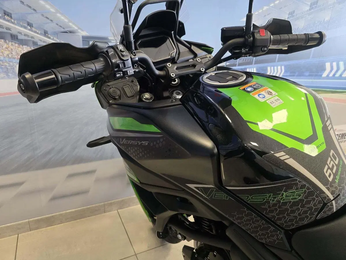 Kawasaki Versys 650 (2021 - 24) (6)