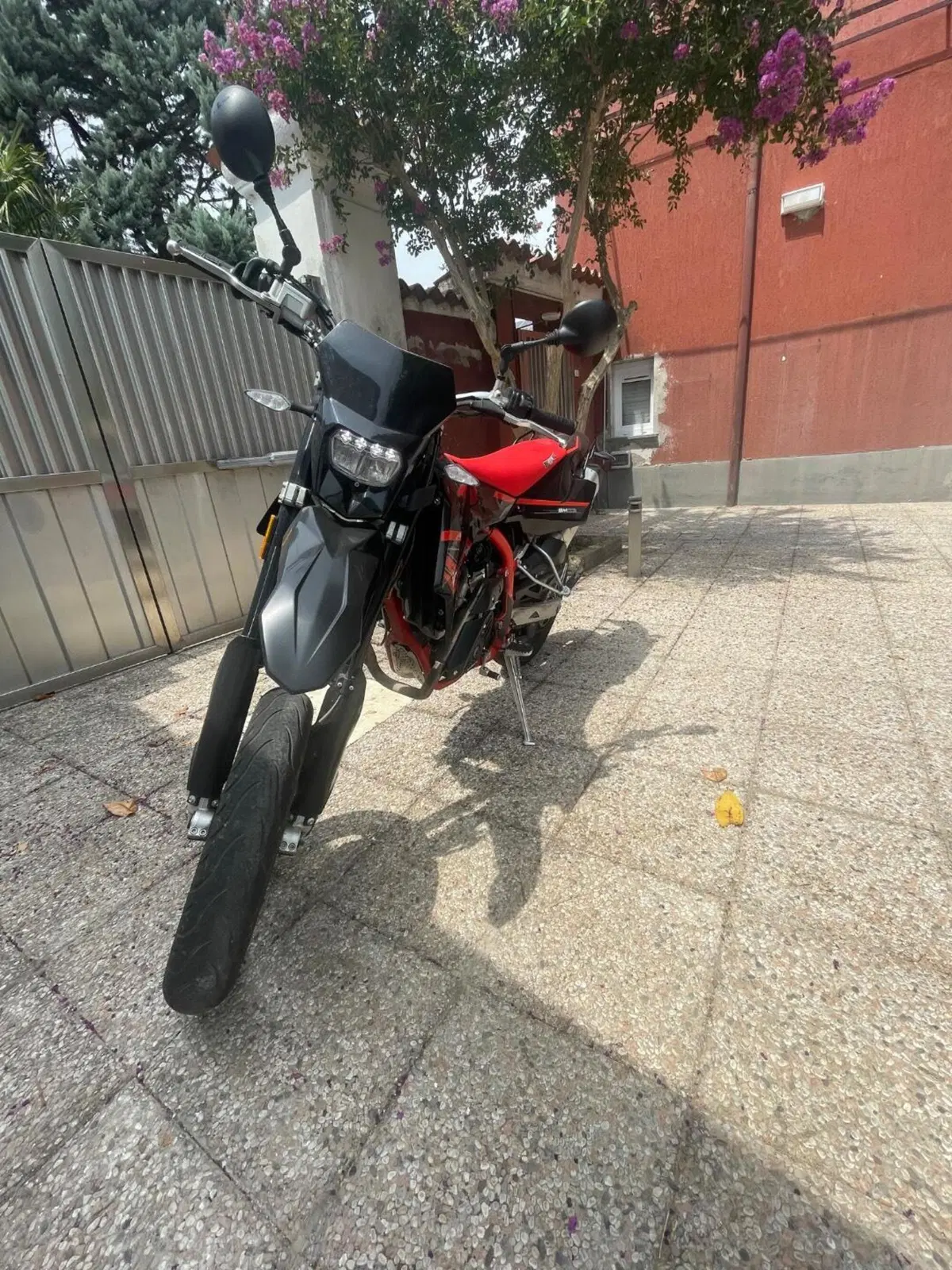 Swm SM 125 R (2022 - 24) (3)