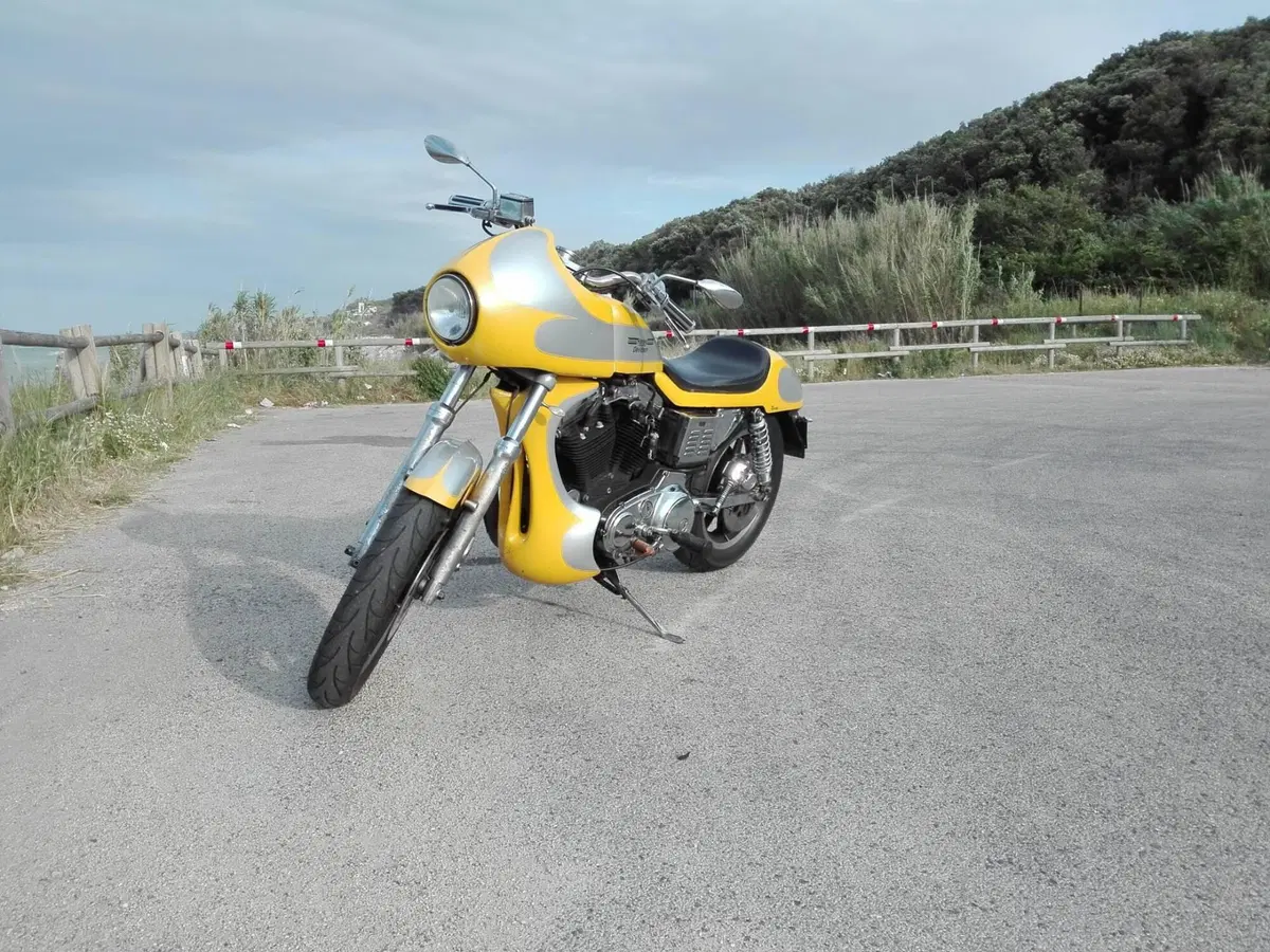 Harley-Davidson XLH SPORTSTER 883 HUGGER (6)