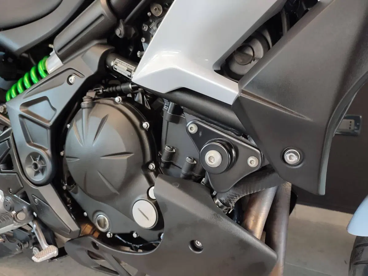 Kawasaki Versys 650 Tourer Plus ABS (2015 - 16) (3)