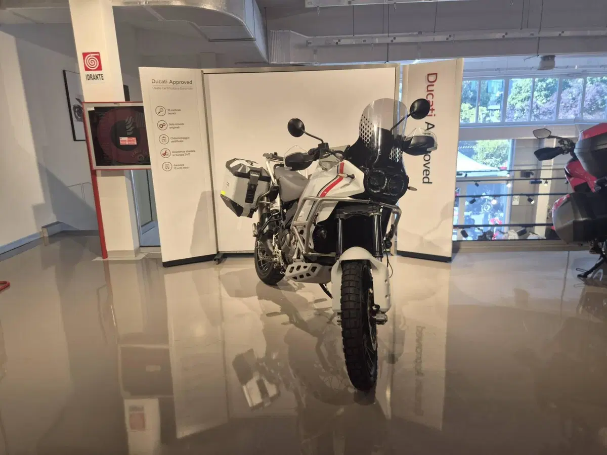 Ducati DesertX (2022 - 25) (2)