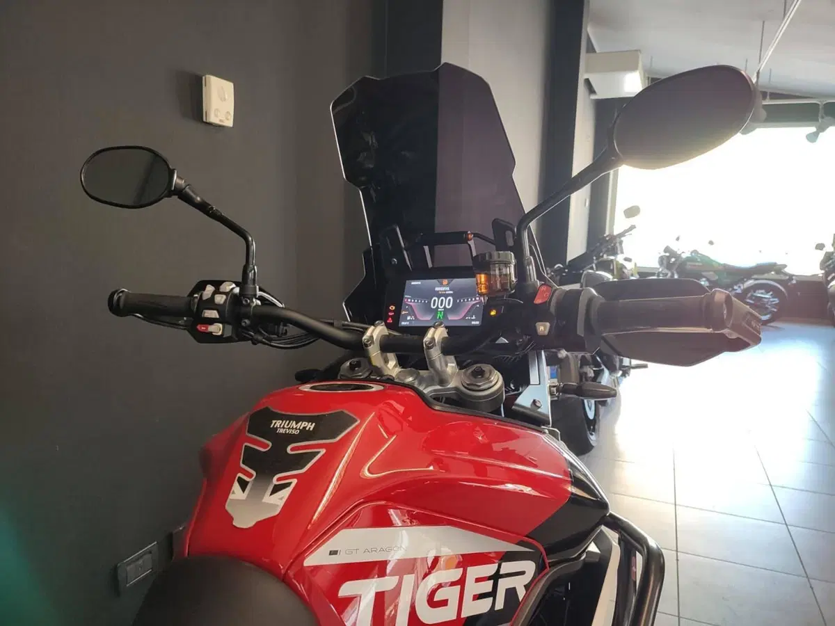 Triumph Tiger 900 GT Aragón Edition (2023 - 24) (4)
