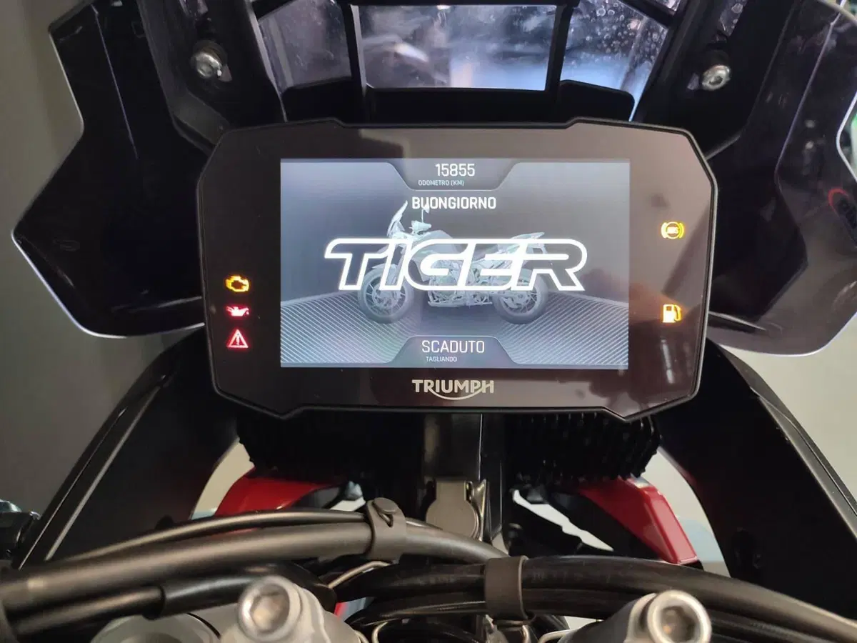 Triumph Tiger 900 GT Aragón Edition (2023 - 24) (7)