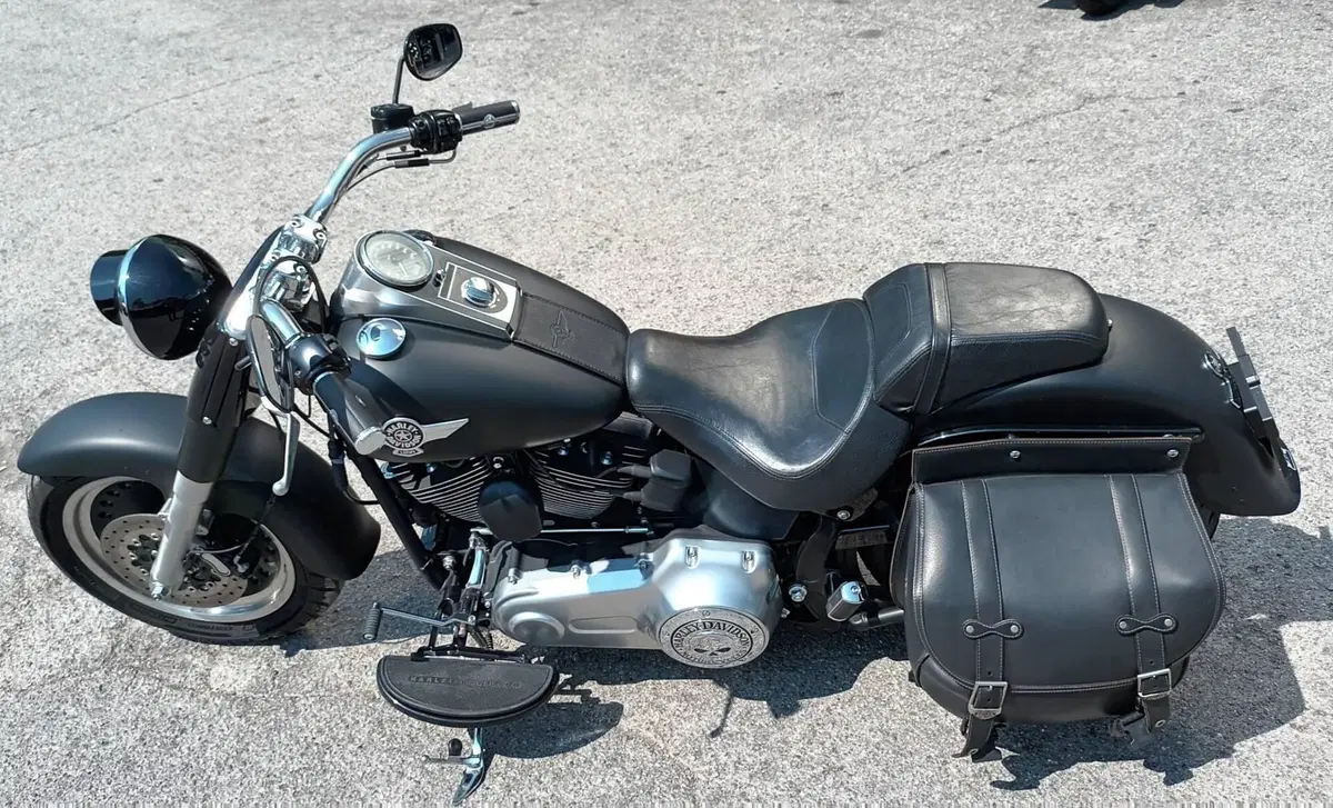 Harley-Davidson 1690 Fat Boy Special (2010 - 17) - FLSTF (6)