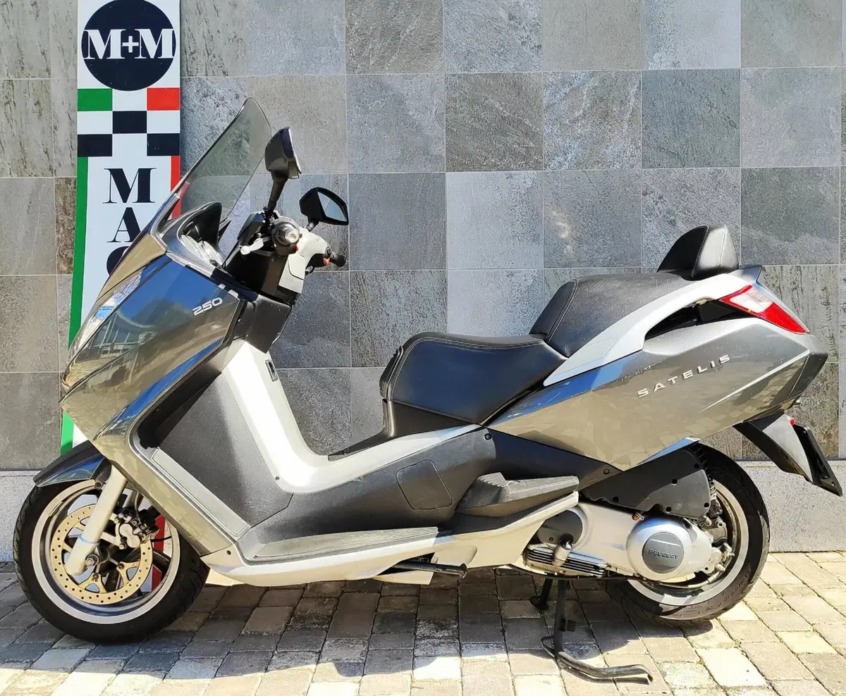 Peugeot Satelis 250 (2006 - 13) (7)