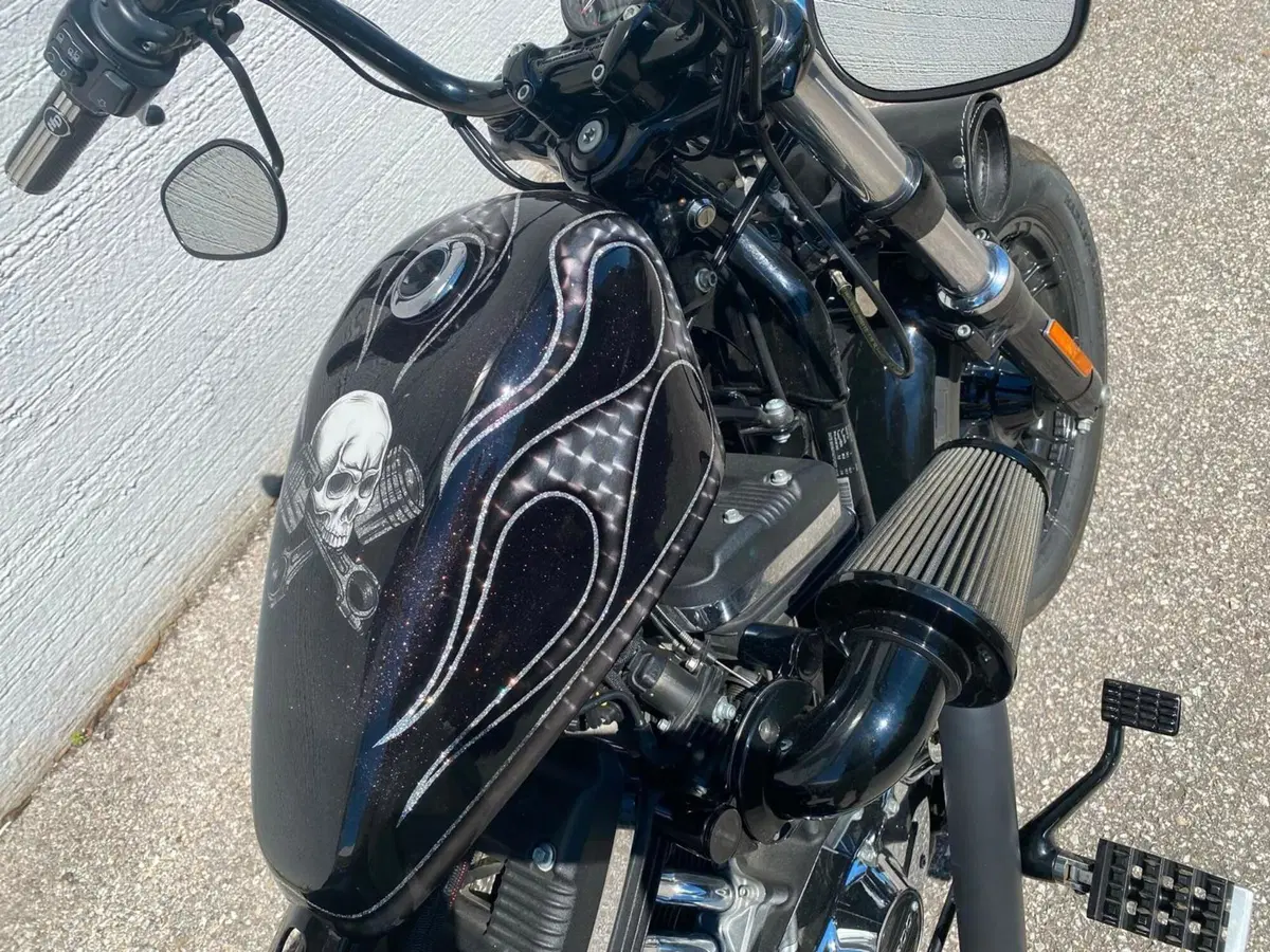 Harley-Davidson 1200 Forty-Eight (2016 - 20) (5)