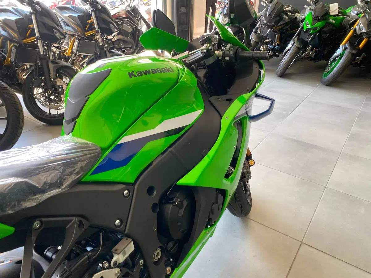 Kawasaki Ninja 1000 ZX-10R (2026) (4)