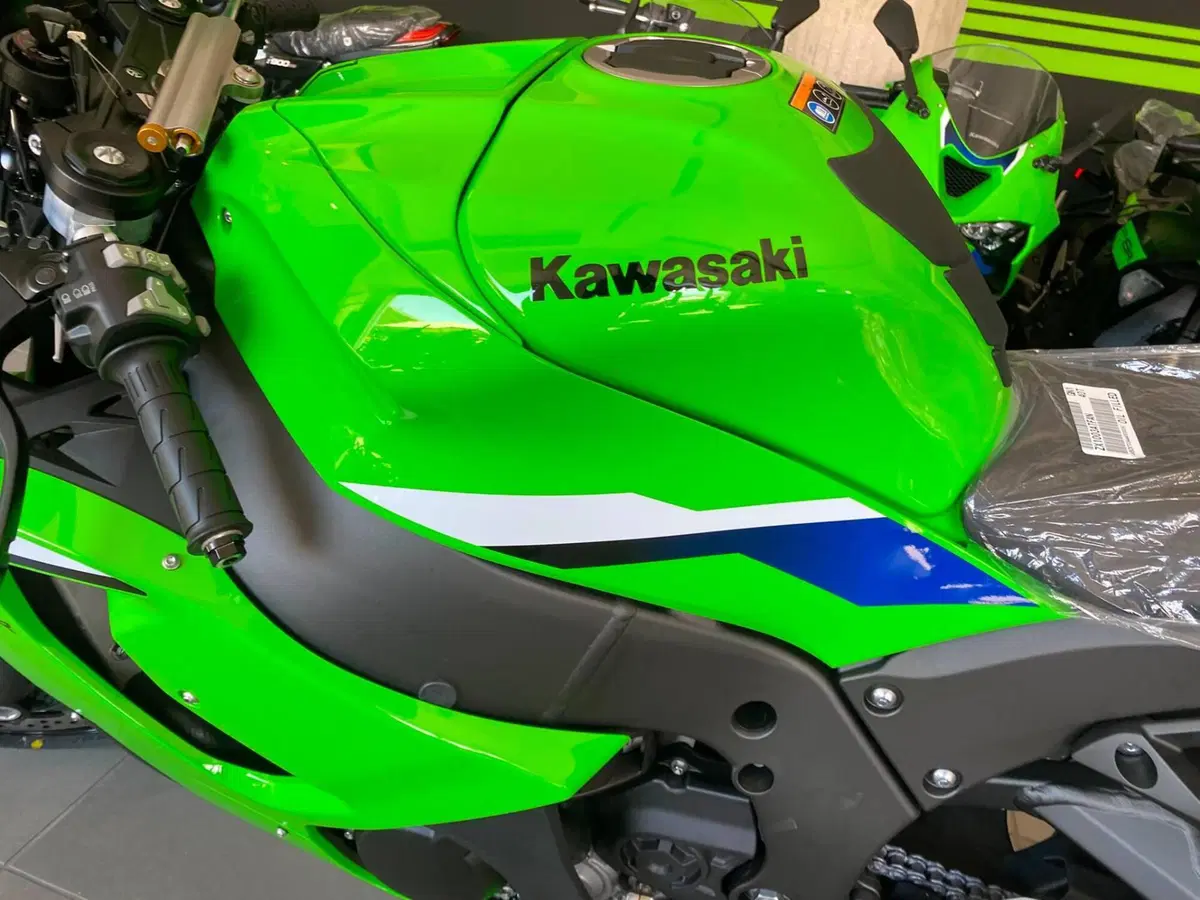 Kawasaki Ninja 1000 ZX-10R (2026) (5)