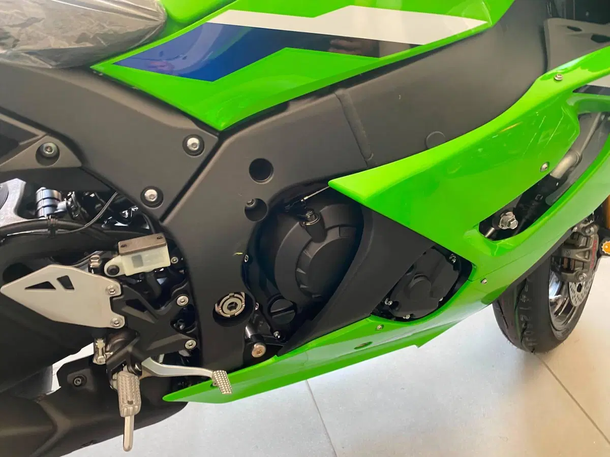 Kawasaki Ninja 1000 ZX-10R (2026) (8)