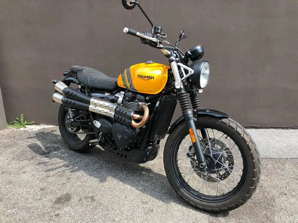 Triumph Scrambler 900 (2023 - 25)