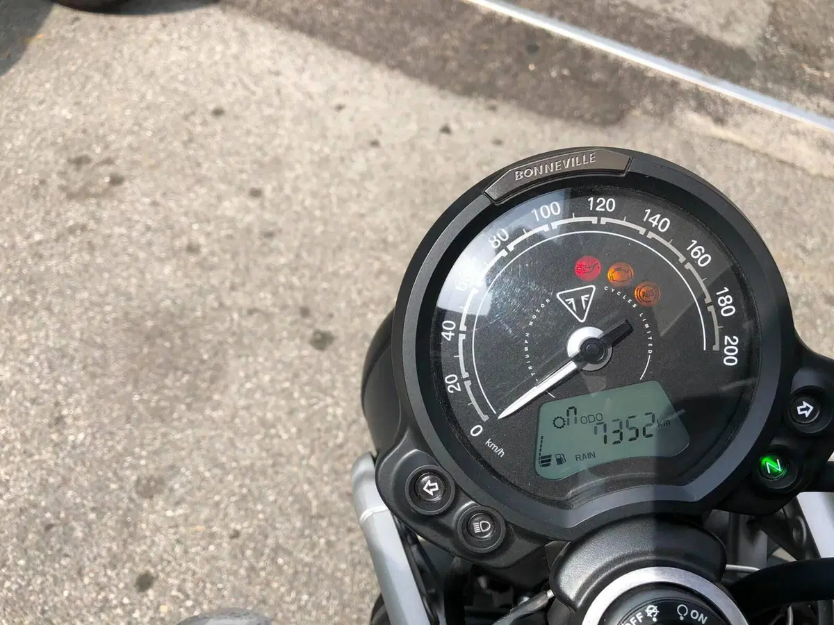 Triumph Scrambler 900 (2023 - 25) (5)