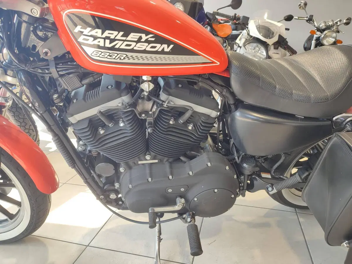 Harley-Davidson 883 R (2004 - 05) - XL 883R (8)
