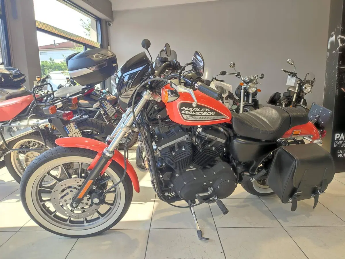 Harley-Davidson 883 R (2004 - 05) - XL 883R (6)