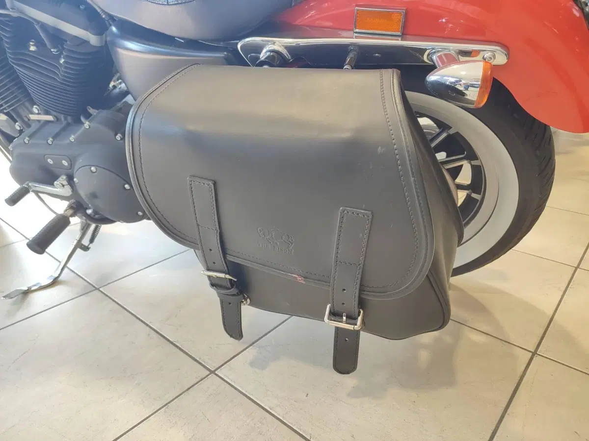Harley-Davidson 883 R (2004 - 05) - XL 883R (9)