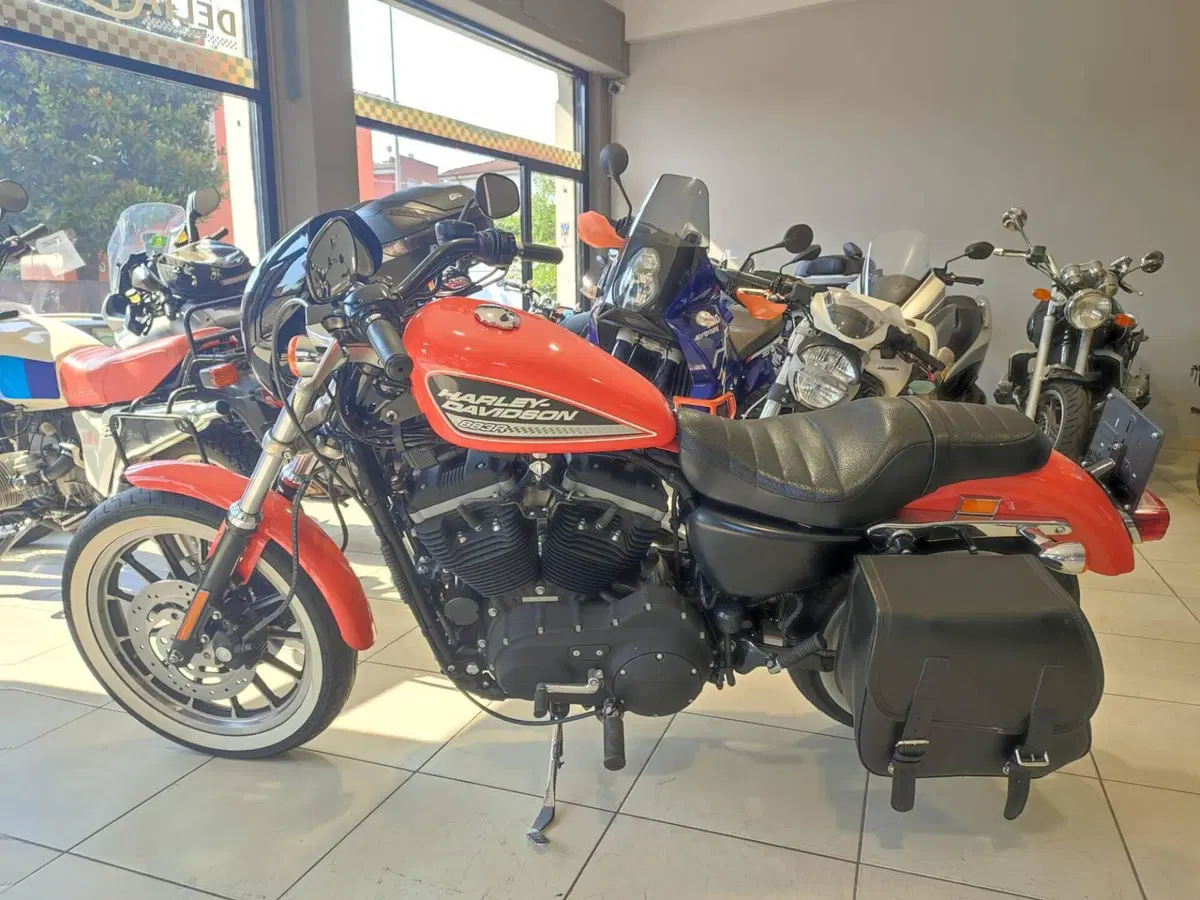 Harley-Davidson 883 R (2004 - 05) - XL 883R (5)