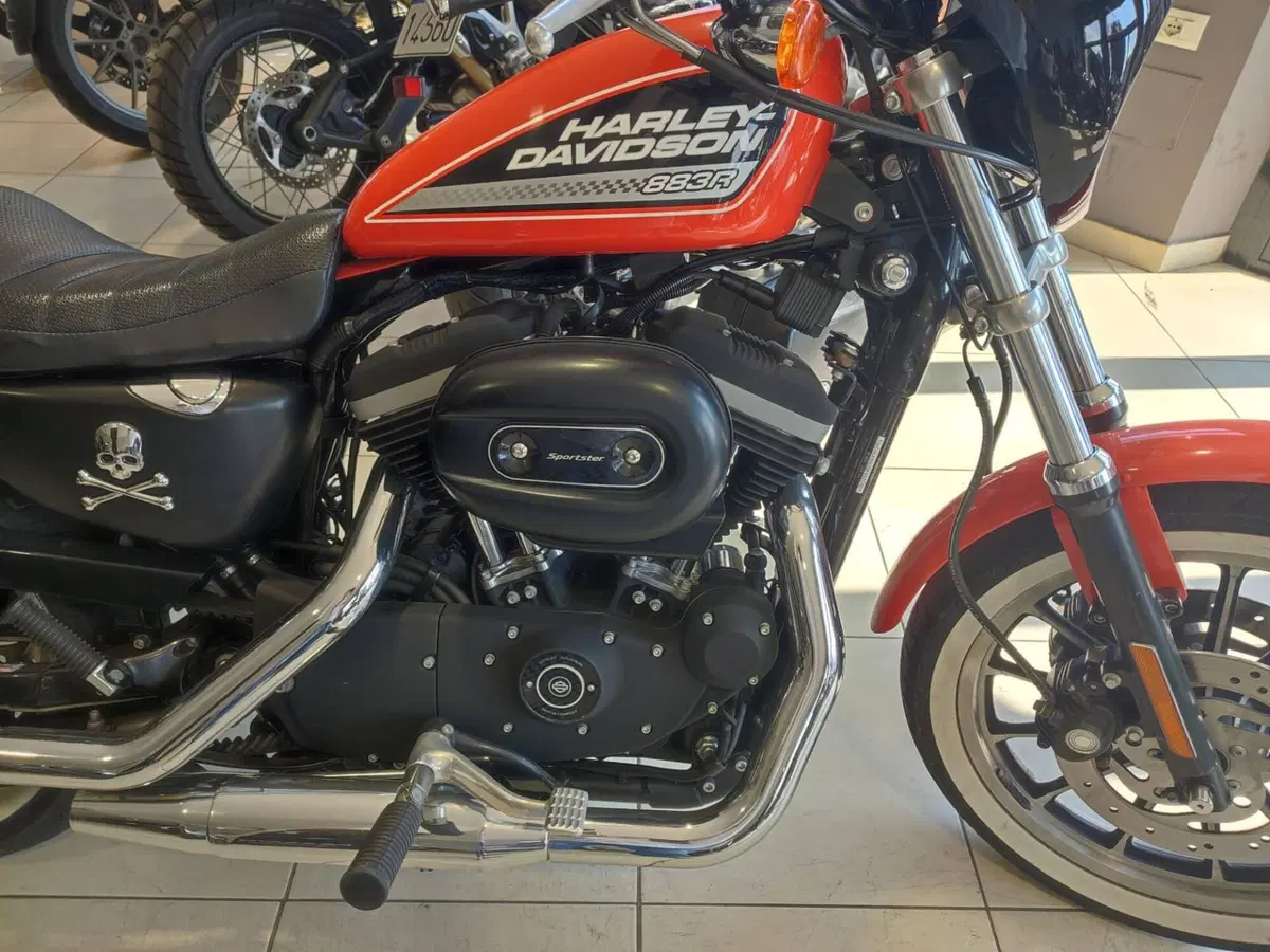 Harley-Davidson 883 R (2004 - 05) - XL 883R (13)