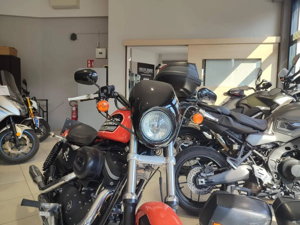 Harley-Davidson 883 R (2004 - 05) - XL 883R (14)