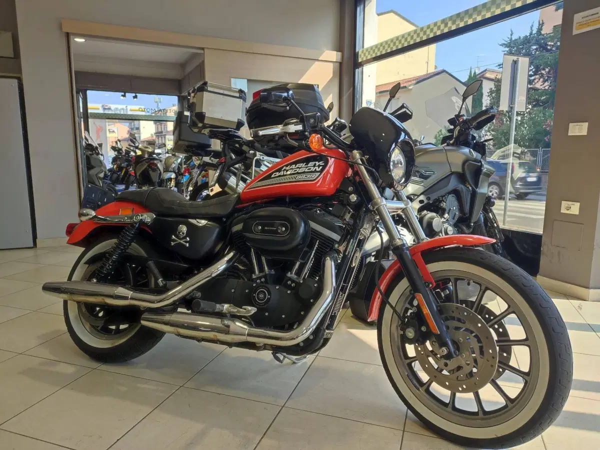 Harley-Davidson 883 R (2004 - 05) - XL 883R (2)