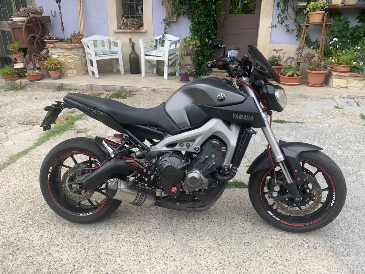 Yamaha MT-09 (2013 - 15) (6)
