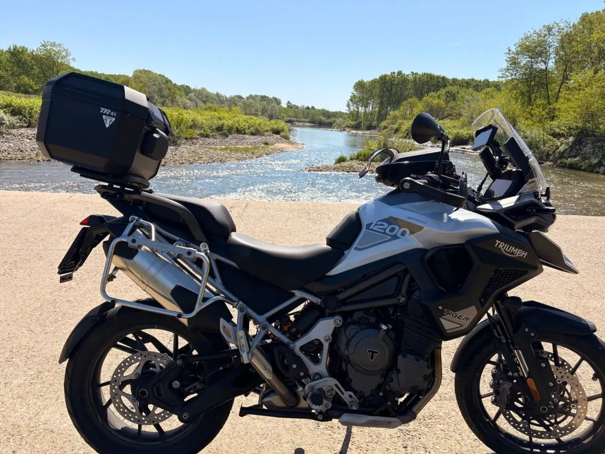 Triumph Tiger 1200 GT Pro (2024 - 26) (2)