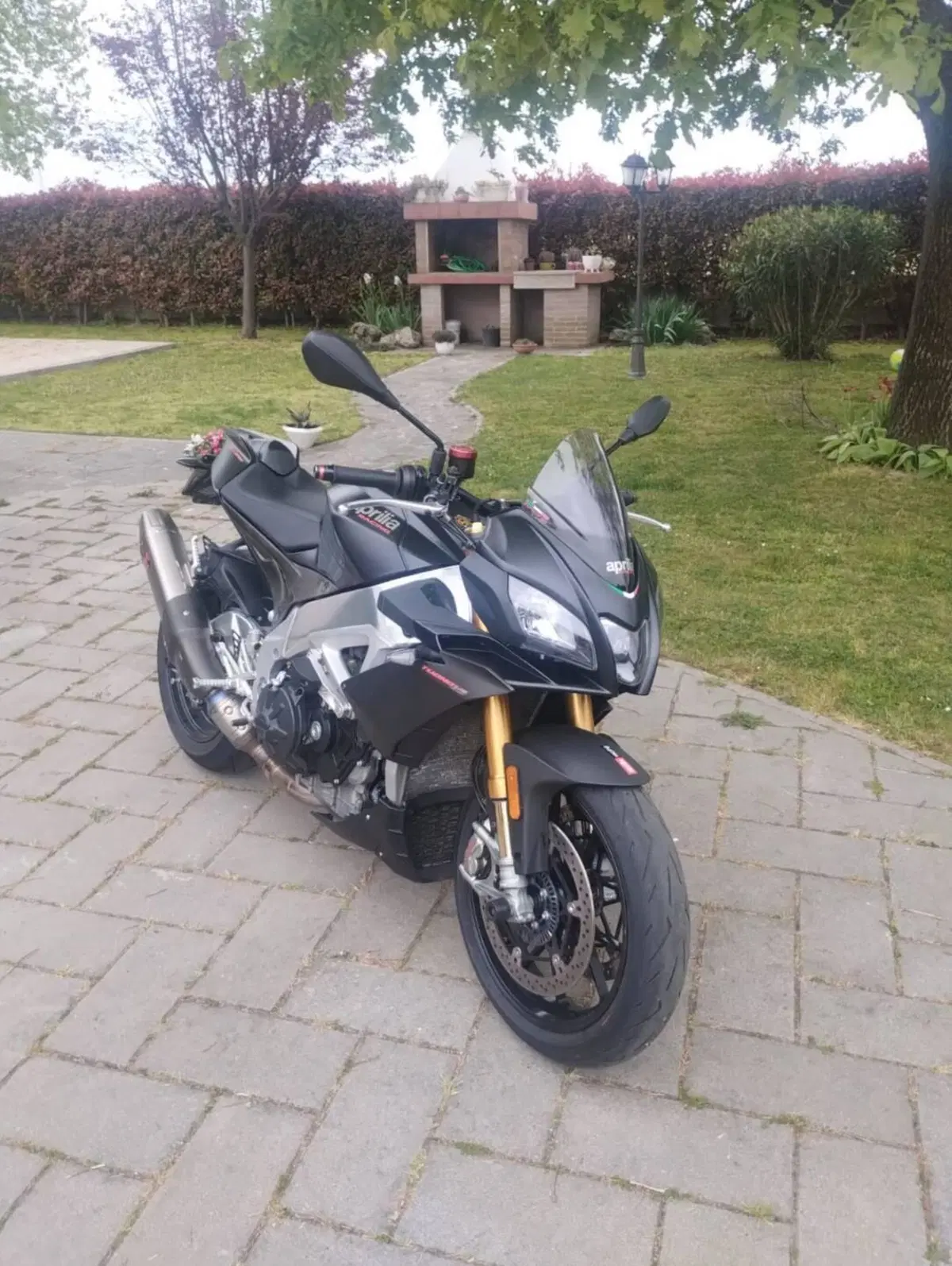 Aprilia Tuono V4 Factory (2019 - 20) (7)