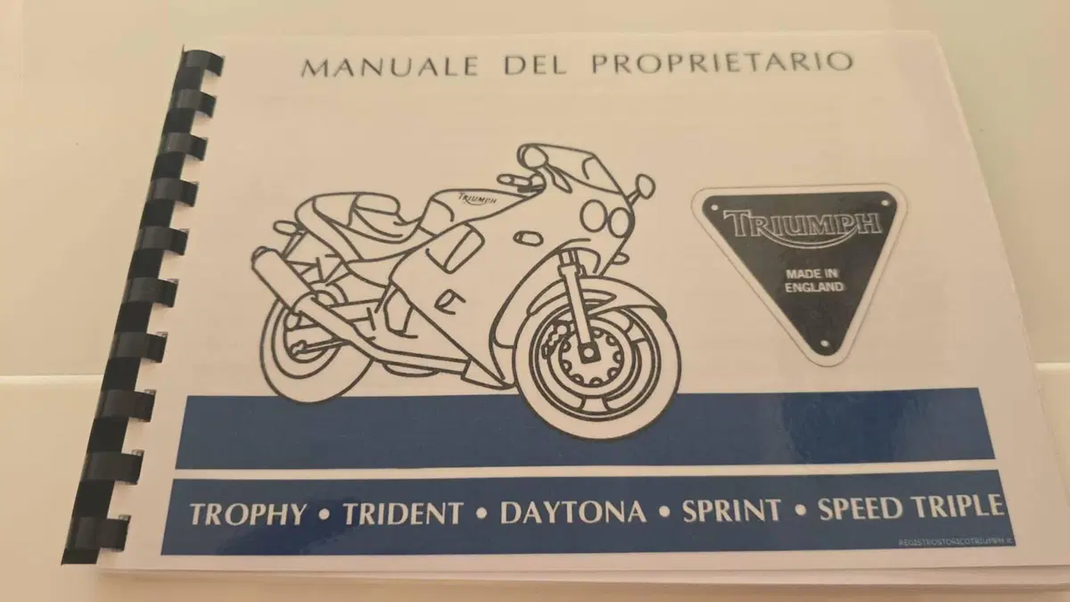 Triumph Speed Triple 900 (T301) (7)