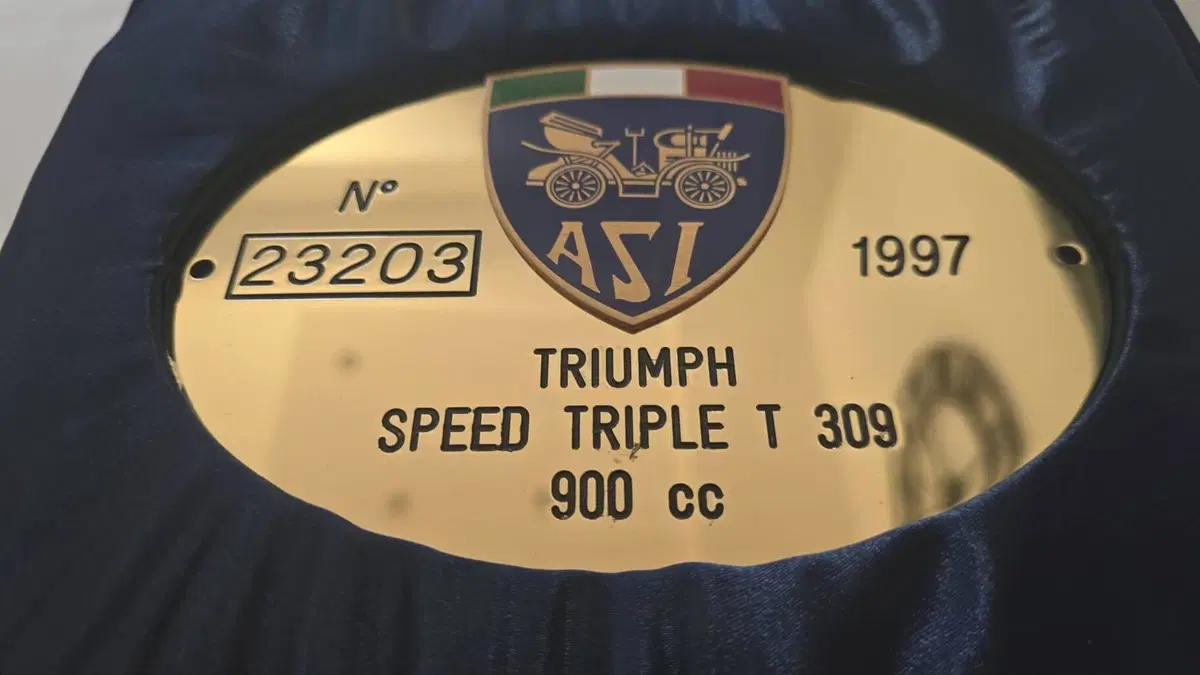 Triumph Speed Triple 900 (T301) (6)