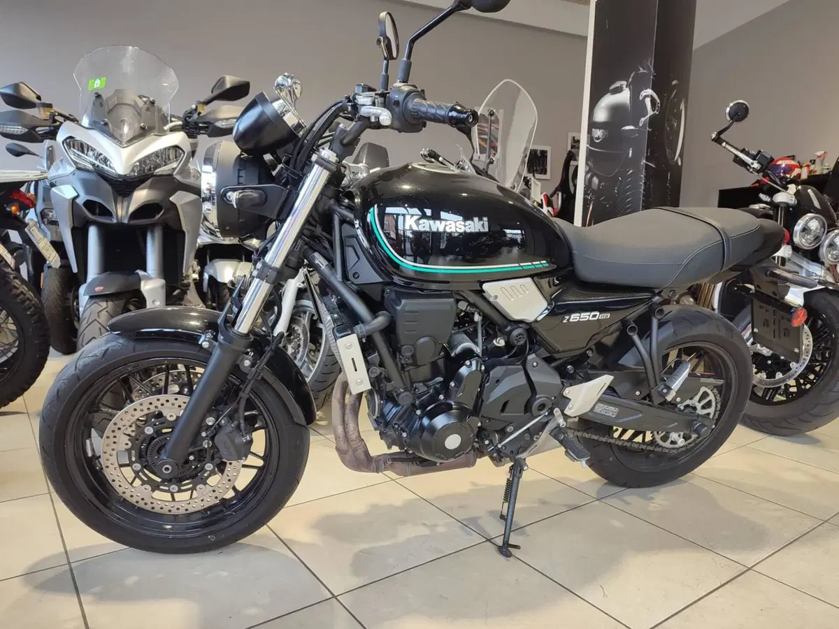 Kawasaki Z 650 RS (2022 - 24) (6)