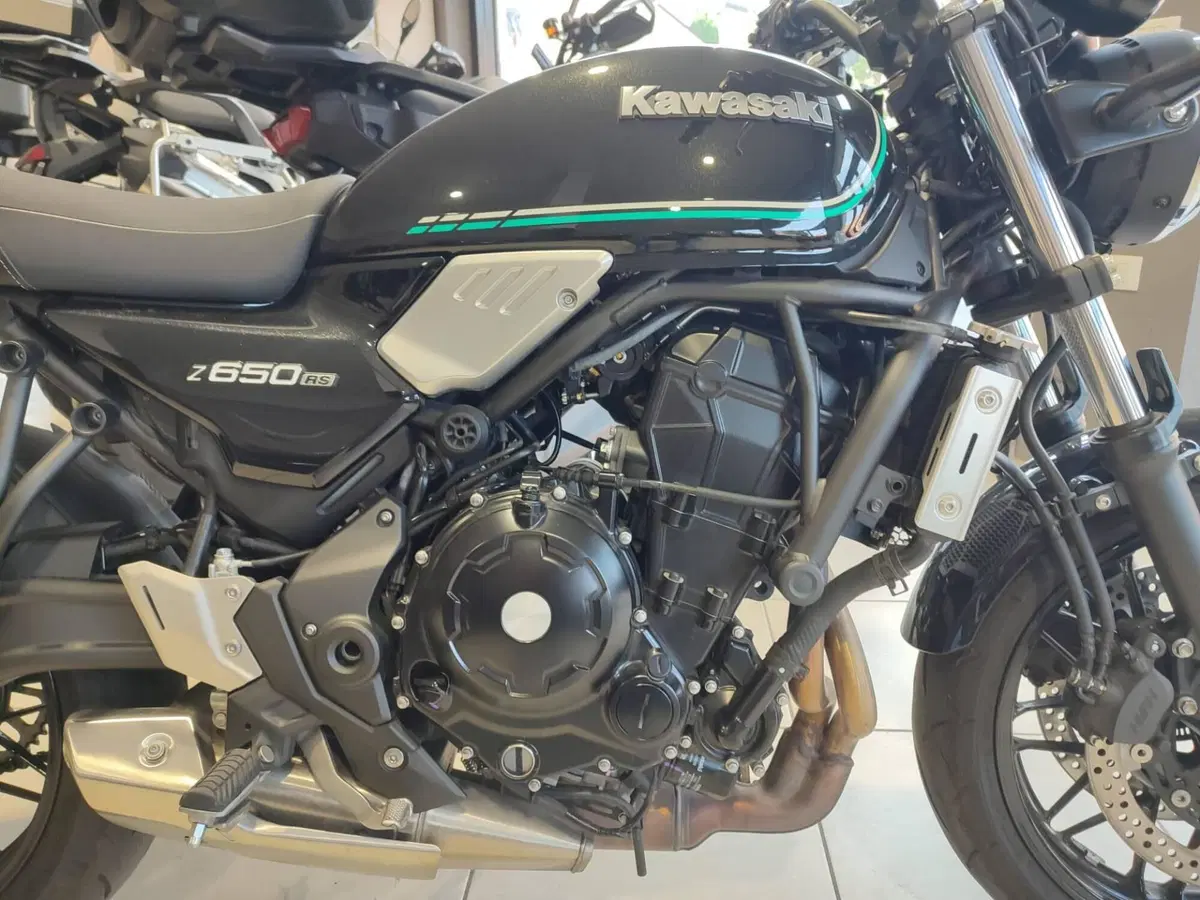 Kawasaki Z 650 RS (2022 - 24) (13)