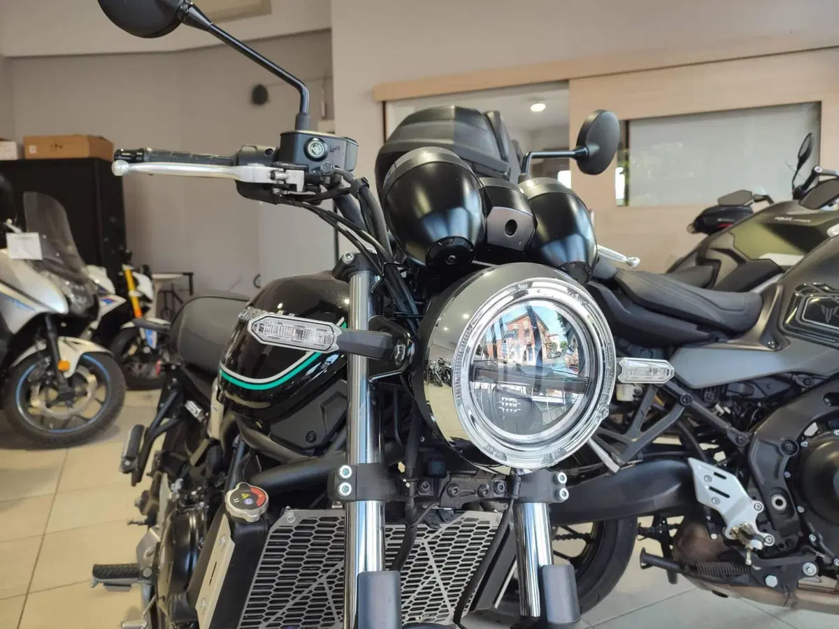 Kawasaki Z 650 RS (2022 - 24) (15)