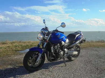 Honda Hornet 900 usata