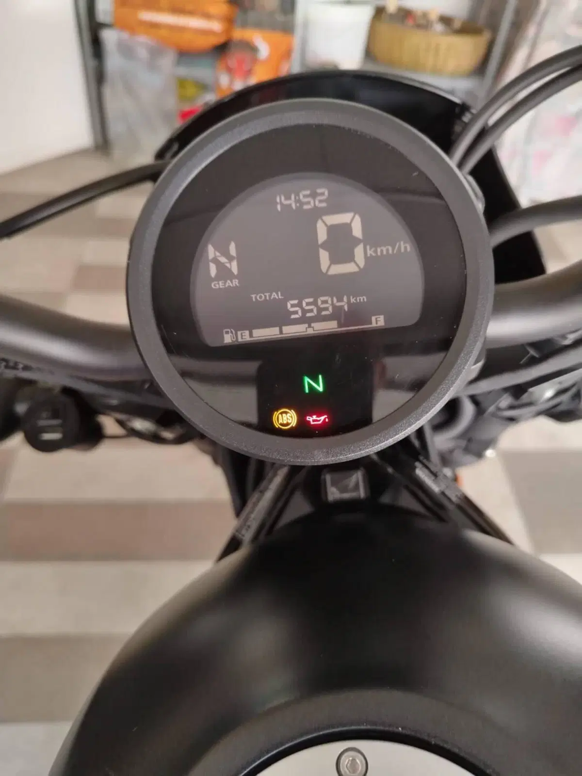 Honda CMX 500 Rebel (2022 - 24) (8)