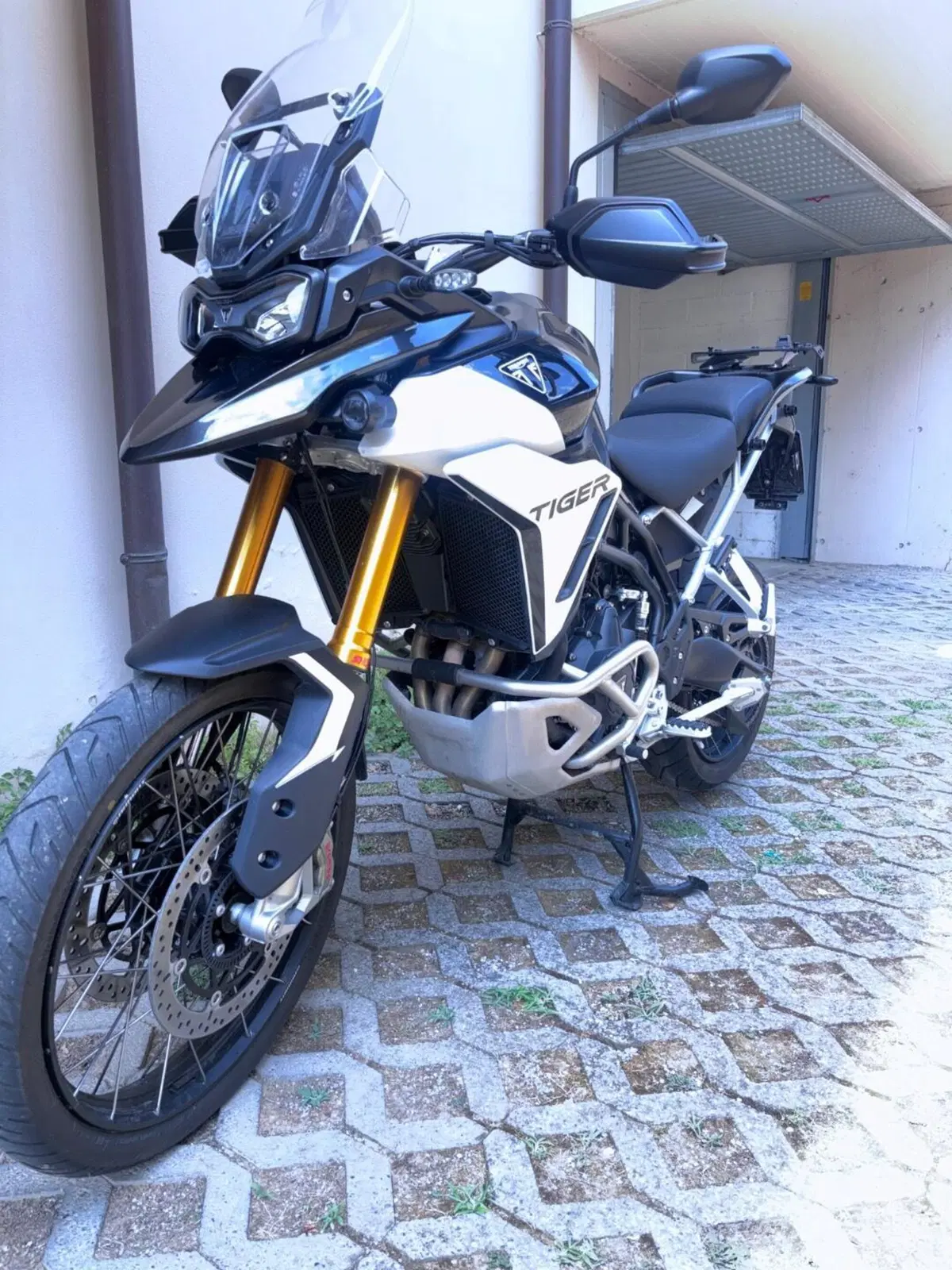 Triumph Tiger 900 Rally Pro (2024 - 26) (2)