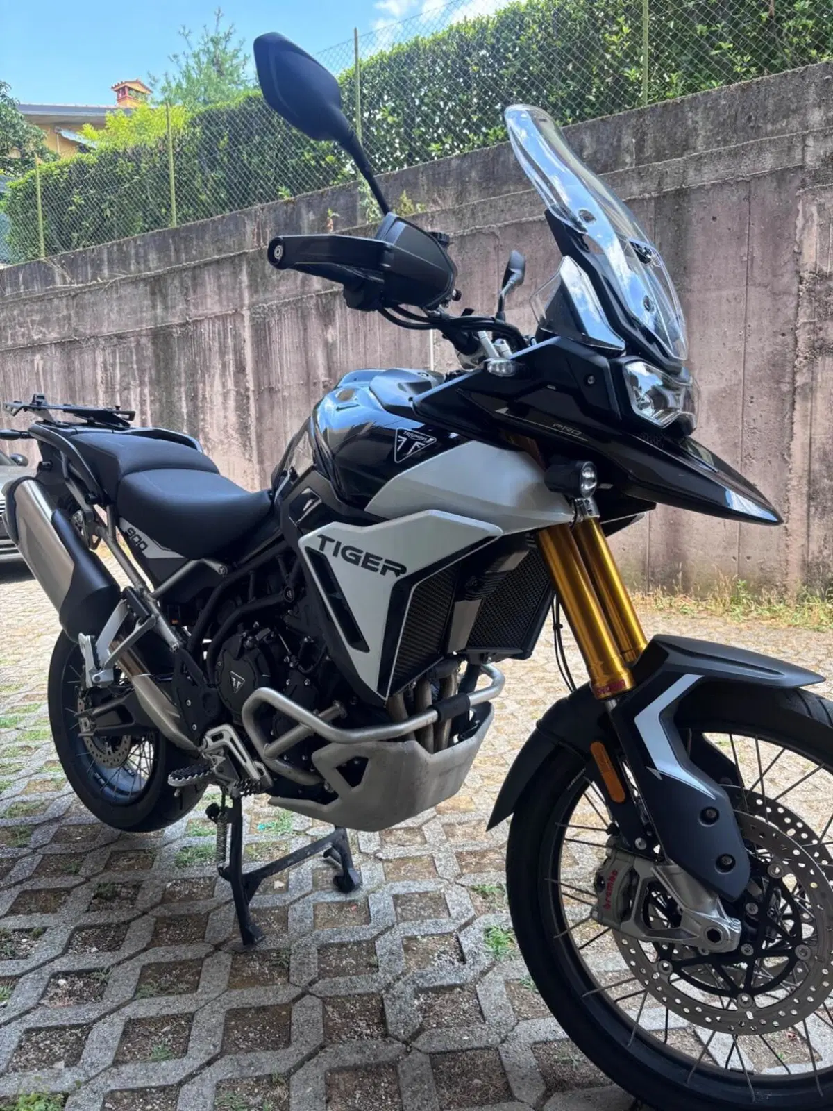 Triumph Tiger 900 Rally Pro (2024 - 26) (3)