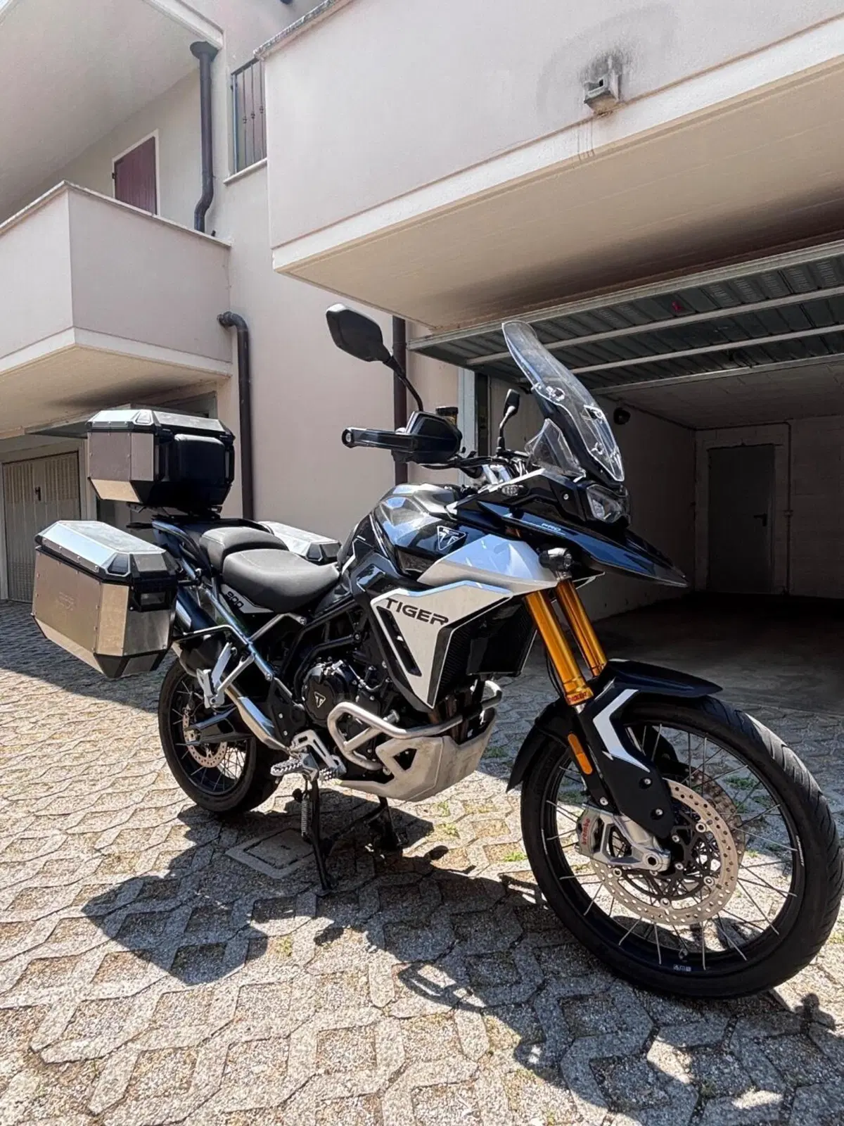 Triumph Tiger 900 Rally Pro (2024 - 26) (4)
