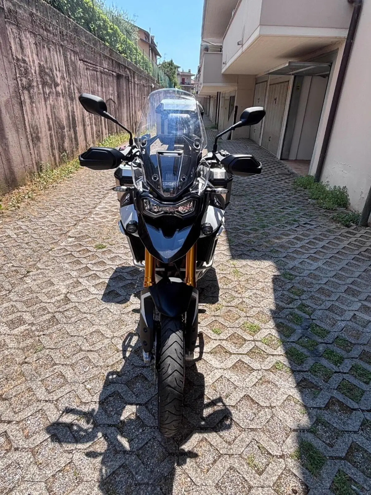 Triumph Tiger 900 Rally Pro (2024 - 26) (5)