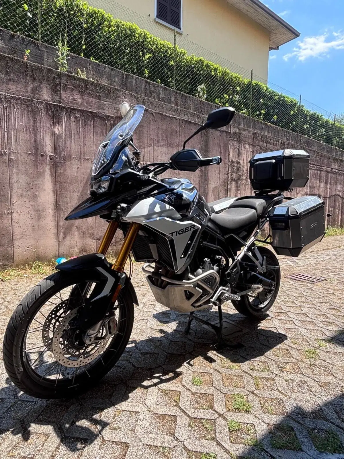 Triumph Tiger 900 Rally Pro (2024 - 26) (6)