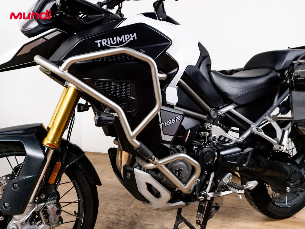 Triumph Tiger 1200 Rally Explorer (2024 - 26) (9)