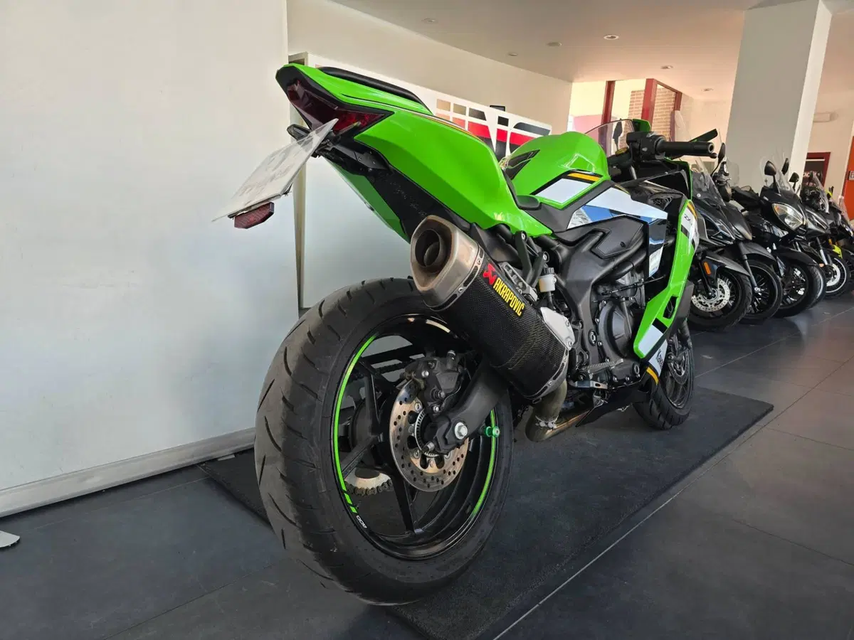 Kawasaki Ninja ZX-4RR Performance (2025 - 26) (8)