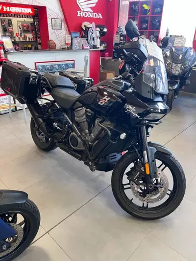 Harley-Davidson Pan America 1250 (2020 - 25) usata