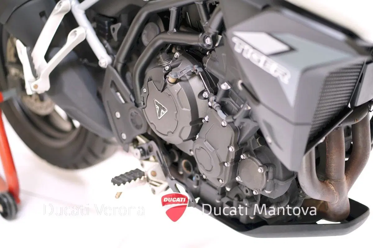Triumph Tiger 900 GT (2020 - 23) (10)