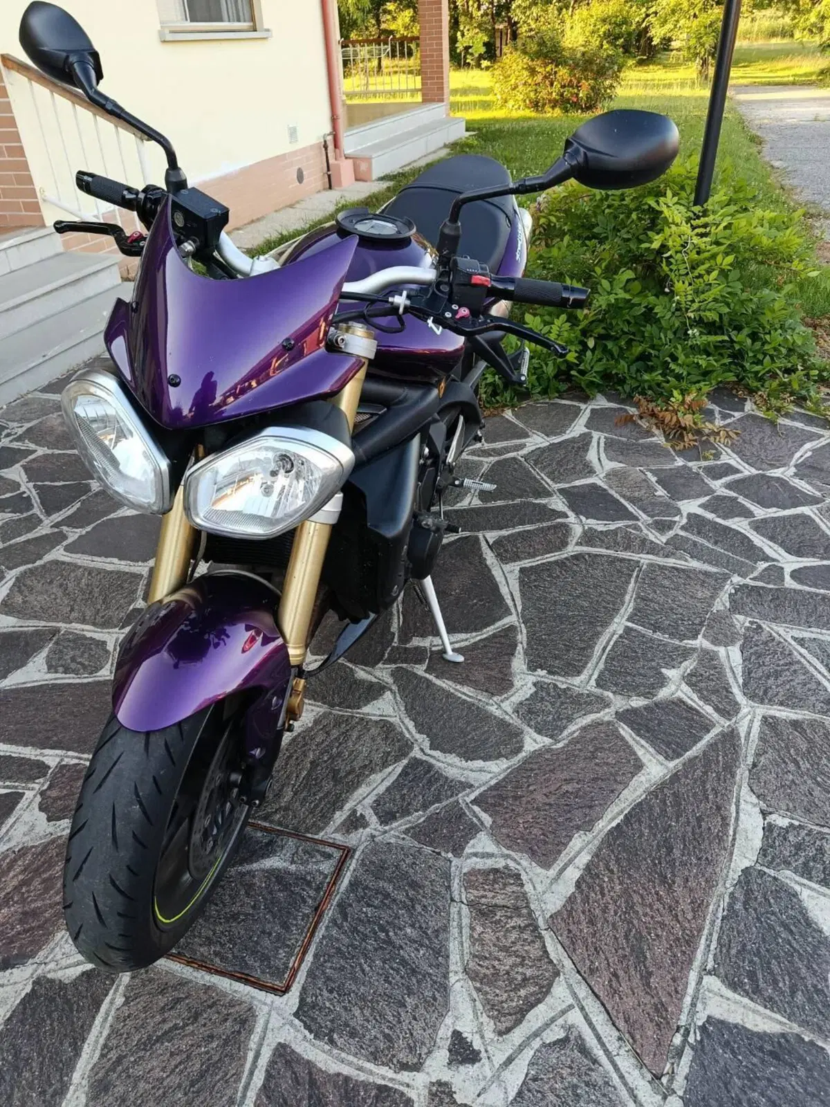 Triumph Street Triple (2007 - 12) (2)