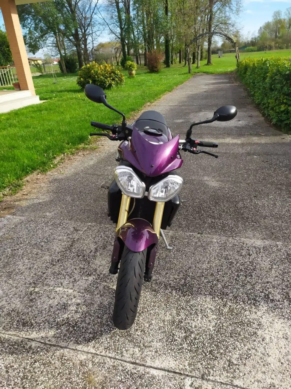 Triumph Street Triple (2007 - 12) (8)