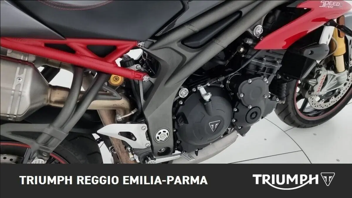 Triumph Speed Triple 1050 R ABS (2016 - 17) (18)