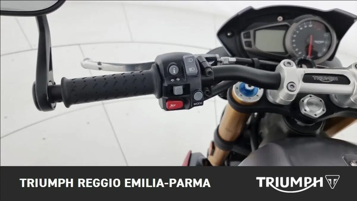 Triumph Speed Triple 1050 R ABS (2016 - 17) (11)